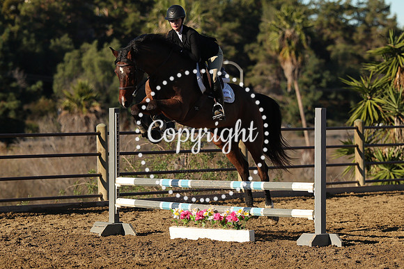 IMG_1452CRD1