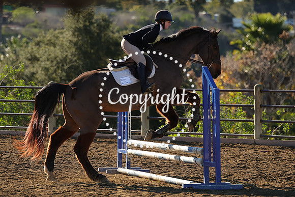 IMG_1783CRD1