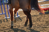 IMG_1798CRD1
