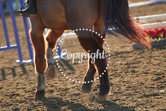 IMG_1798CRD1