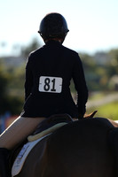 IMG_1806CRD1
