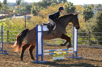 IMG_1795CRD1