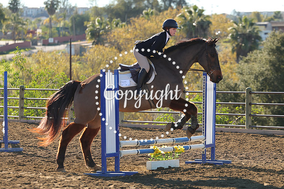 IMG_1795CRD1