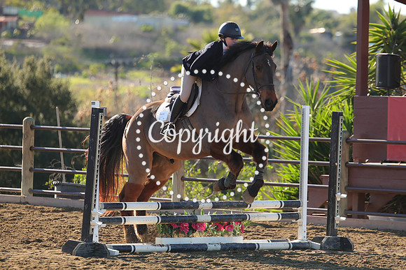 IMG_1803CRD1