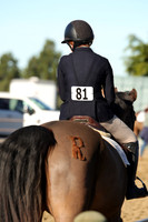 IMG_1810CRD1