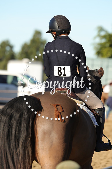 IMG_1810CRD1