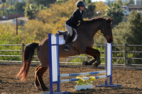 IMG_1549CRD1
