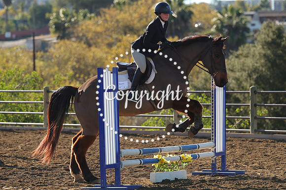 IMG_1549CRD1