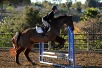 IMG_1534CRD1