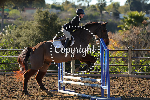 IMG_1534CRD1