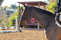 IMG_1569CRD1