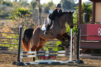 IMG_1565CRD1