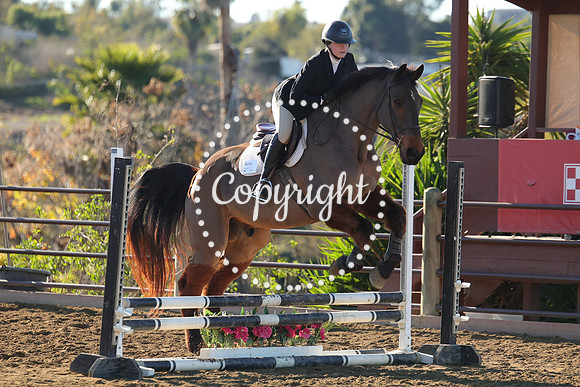 IMG_1565CRD1