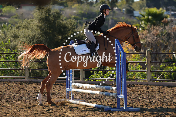 IMG_1822CRD1