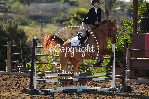 IMG_1842CRD1
