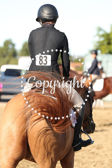 IMG_1854CRD1