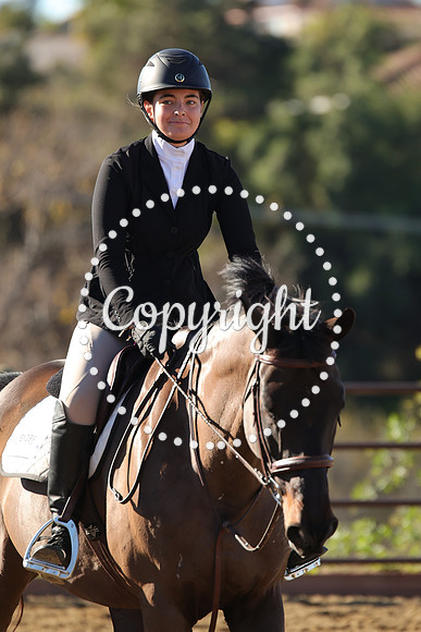 IMG_2484CRD1