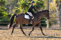IMG_2478CRD1