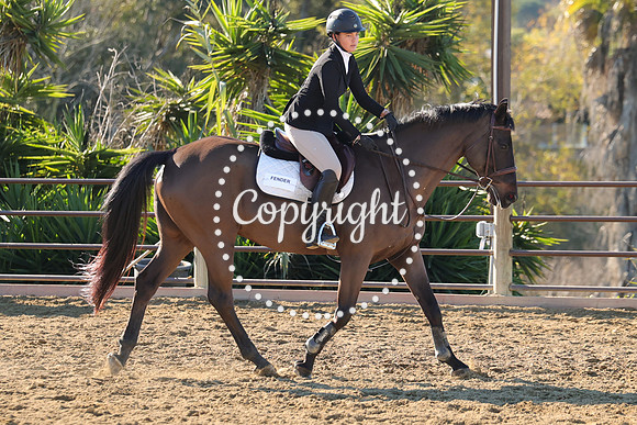 IMG_2478CRD1