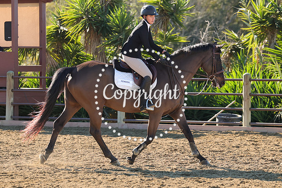 IMG_2470CRD1