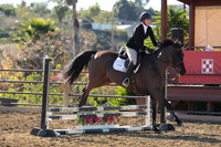 IMG_2463CRD1