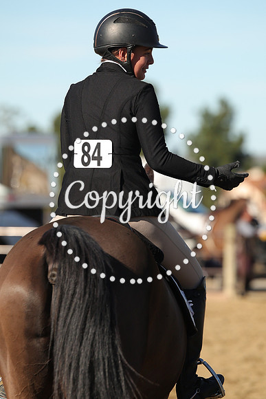 IMG_2487CRD1