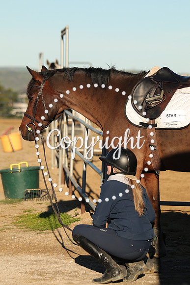 IMG_1075CRD1