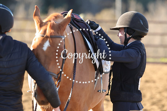 IMG_1129CRD1
