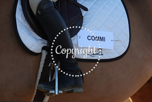 IMG_1133CRD1