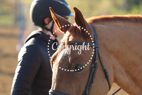 IMG_1136CRD1
