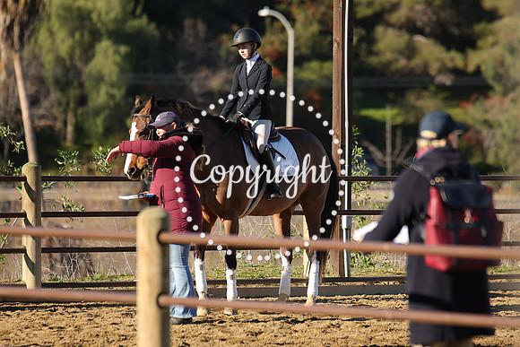 IMG_1466CRD1