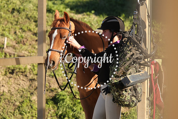 IMG_1816CRD1