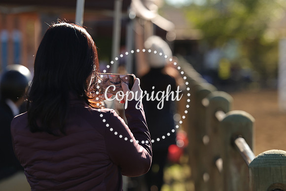 IMG_1871CRD1