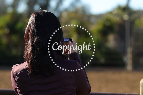 IMG_1857CRD1