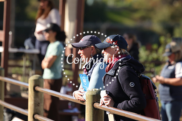 IMG_2401CRD1