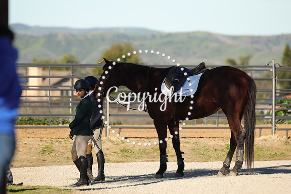 IMG_2616CRD1