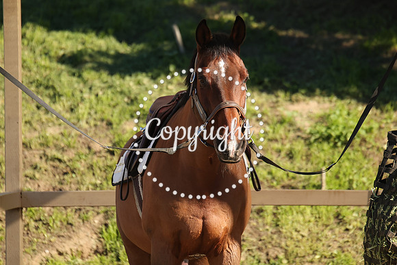 IMG_2620CRD1