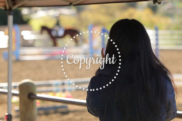 IMG_2794CRD1
