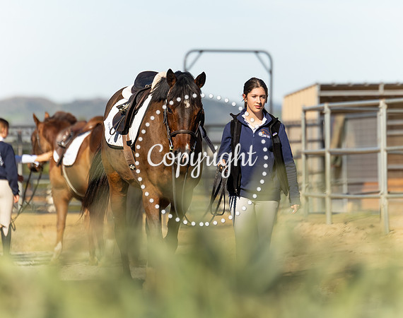 IMG_2849CRD1