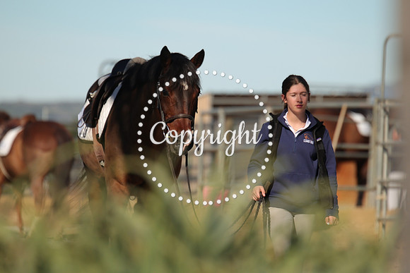IMG_2852CRD1