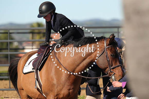 IMG_3302CRD1