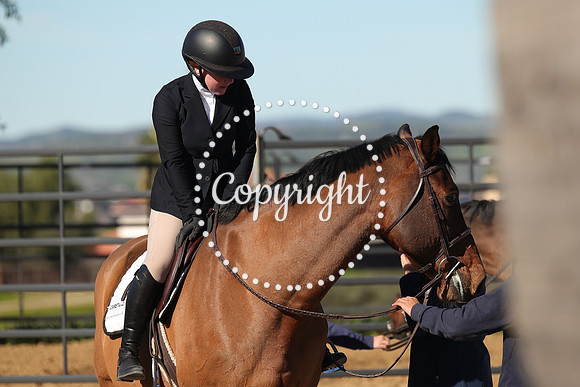 IMG_3305CRD1