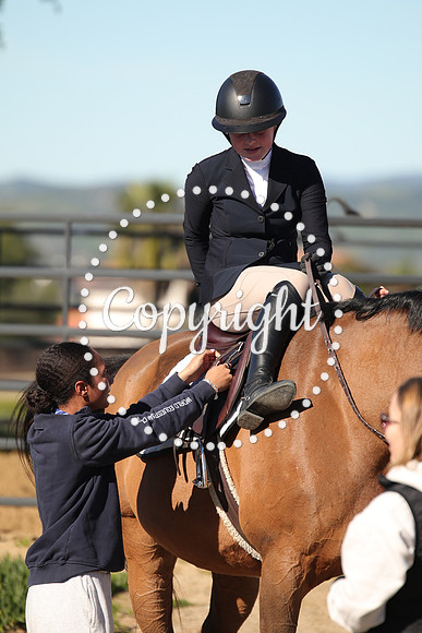IMG_3310CRD1