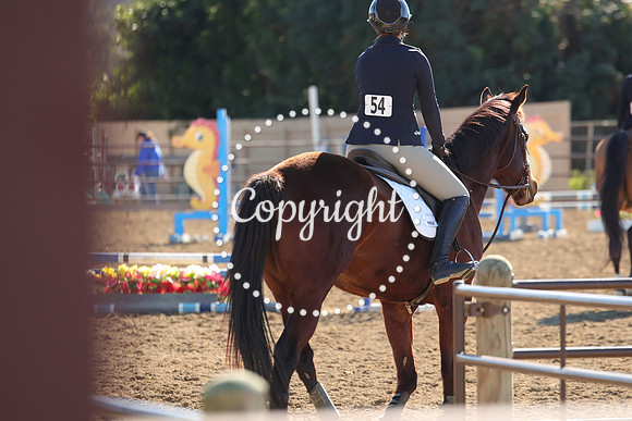 IMG_3314CRD1