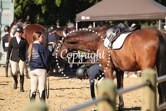 IMG_3485CRD1