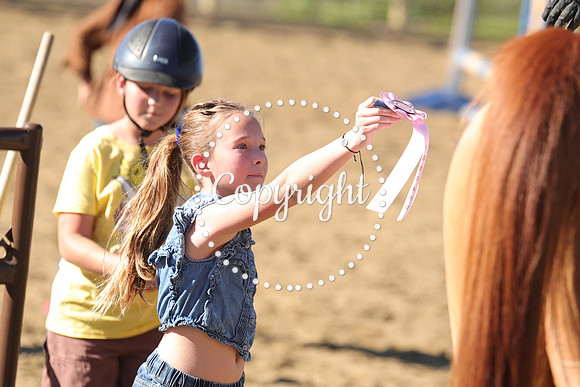 IMG_3690CRD1