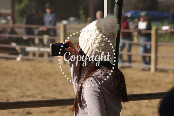 IMG_3498CRD1