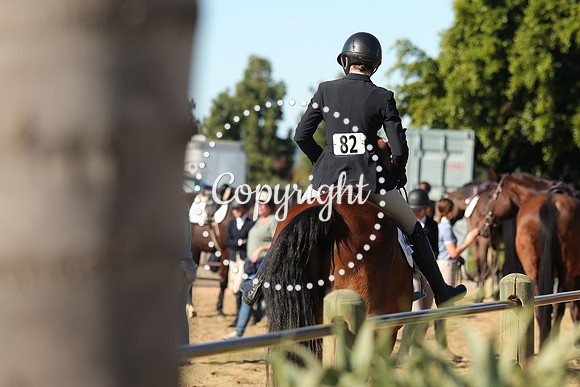 IMG_3691CRD1