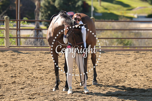 IMG_3947CRD1