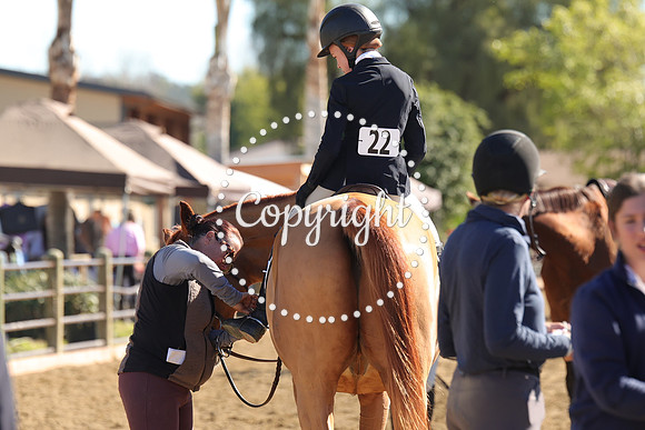 IMG_3957CRD1